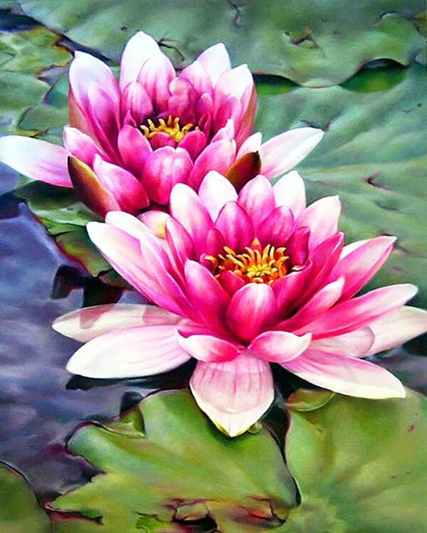 Diamond Painting| Beautiful Lotus